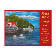 Afdichtingen op Telegraph Cove, BC Canada.