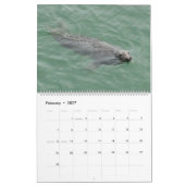 Afdichtingen van Cape Cod Kalender (Feb 2027)