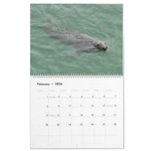 Afdichtingen van Cape Cod Kalender (Feb 2026)