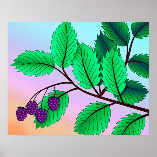 Afdruk "Blackberries on a Branch" met rand Poster (Voorkant)