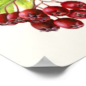 Afdruk poster van Hawthorn botanische fijne kunst (Hoek)
