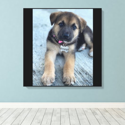 Afdruk van Athena-puppy canvas (Insitu (Houten vloer))
