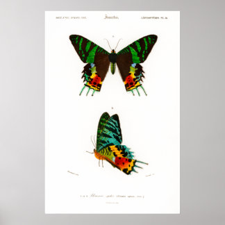  afdruk van een Poster van de Madagaskar Sunset Mo