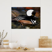 Afdruk van gebooste Merganser Bird Poster (Keuken)