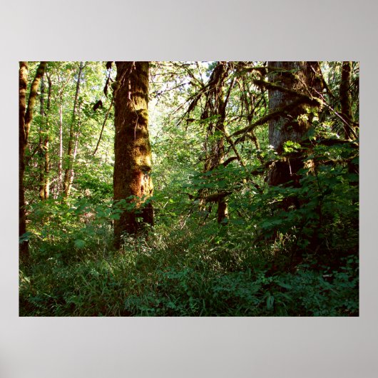 Afdruk van gekanaliseerd Poster (Voorkant)