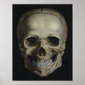 afdruk van Human Skull Black Poster (Voorkant)