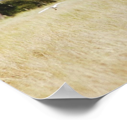 Afdruk van poster van Afrikaanse olifant (Hoek)