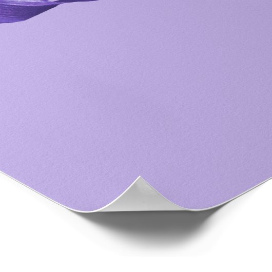 Afdruk van poster van de vlag Iris (paars en mauve (Hoek)