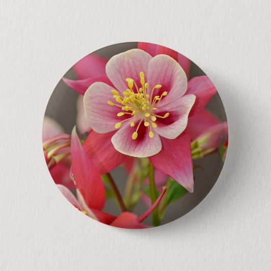 Afdruk van roze bloemen ronde button 5,7 cm (Voorkant)