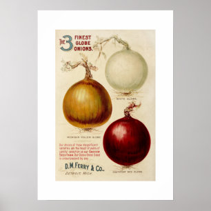 Afdruk van  uigrafiek poster