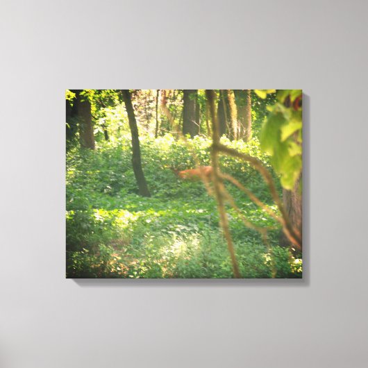 Afdruk van Whitetail hertencanvas Canvas Afdruk (Voorkant)