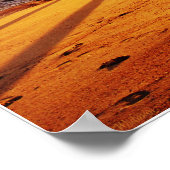 Afdruk zeebraelk pier 06 poster (Hoek)