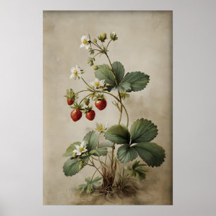 Afdrukbare Aardbei Bes Muur Kunst, Antiek Poster