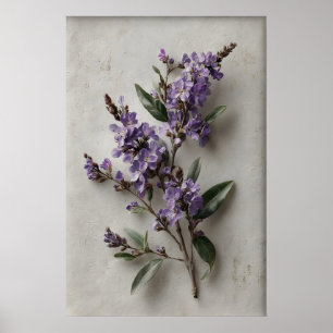 Afdrukbare Dampiera Muurkunst, Antieke Bloem Lente Poster