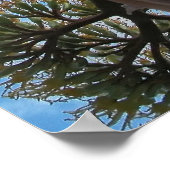 Afdrukken: Agave Poster (Hoek)