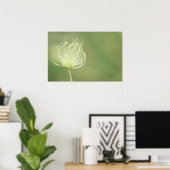 Afdrukken: Apache Plume Poster (Thuiskantoor)