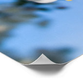 Afdrukken - Crab Apple-bloesems Poster (Hoek)