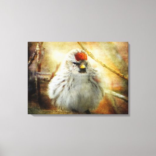 Afdrukken getextureerd gemeenschappelijk repoll Wa (Voorkant)