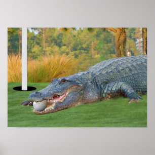 Afdrukken gevaarlijke Lie Golfing Alligator Poster