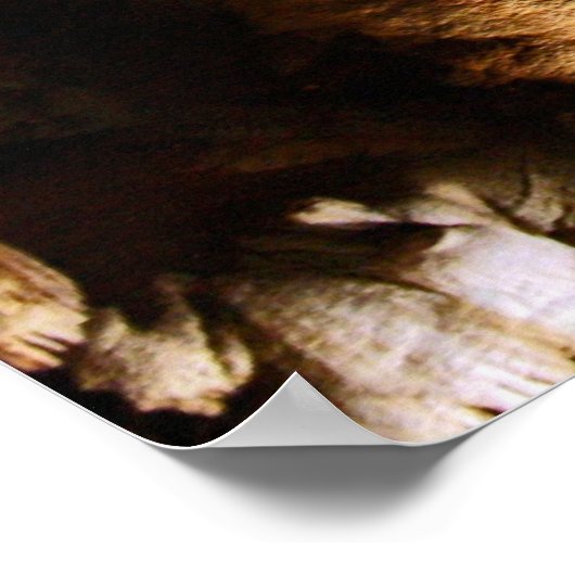 Afdrukken grotformaties poster (Hoek)