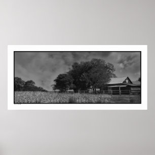 Afdrukken katoenfield en Barn-Poster Poster