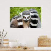 Afdrukken - Kute Lemur Stripey Tail Poster (Keuken)
