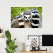 Afdrukken - Kute Lemur Stripey Tail Poster (Thuiskantoor)