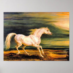 Afdrukken: Marengo van Napoleon Poster