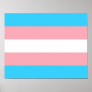 Afdrukken met transgendervlag, waardepapier met Po Poster