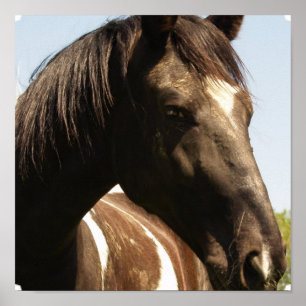 Afdrukken ontwerp-paard voor Poster