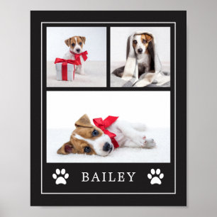 Afdrukken Paw   Multifoto Pet Dog of Puppy Poster