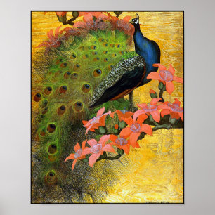 Afdrukken poster: Blue Peacock Poster