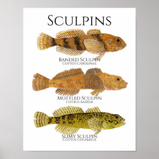Afdrukken, Poster papier van waarde (Matte)