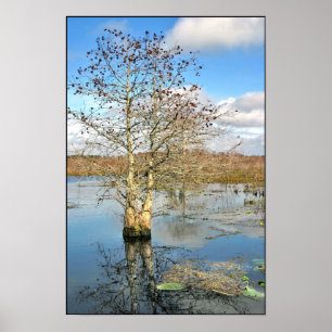 Afdrukken poster: twee bomen als één poster