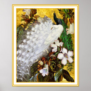 Afdrukken poster: wit en blauw pacock poster