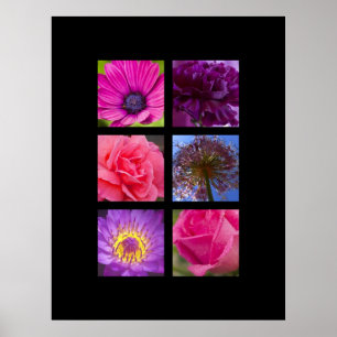 Afdrukken - Roze en paarse bloemen Poster