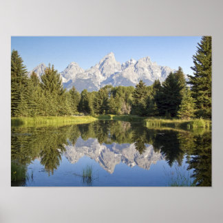 Afdrukken - Tetons Reflection Poster