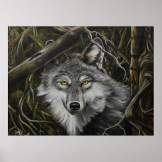 Afdrukken van Afbeelding van Watchful Eyes Wolf Poster