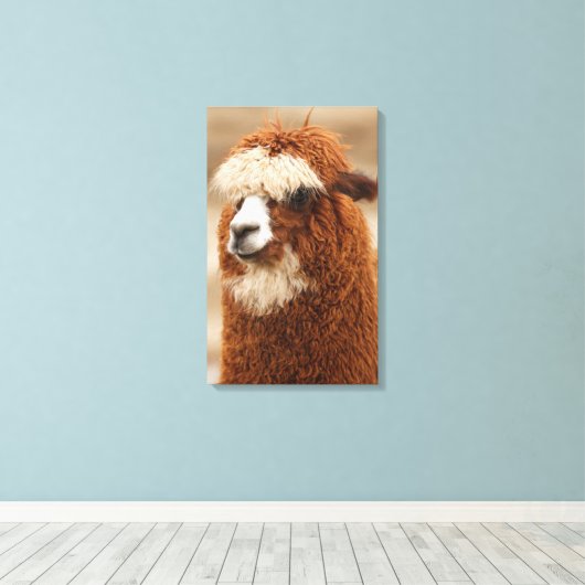 Afdrukken van alpaca canvas (Insitu (Houten vloer))