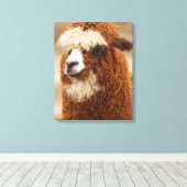 Afdrukken van alpaca canvas (Insitu (Houten vloer))