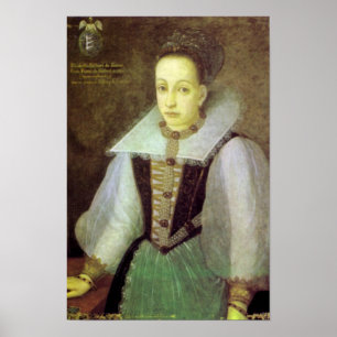 Afdrukken van bloedtesten poster