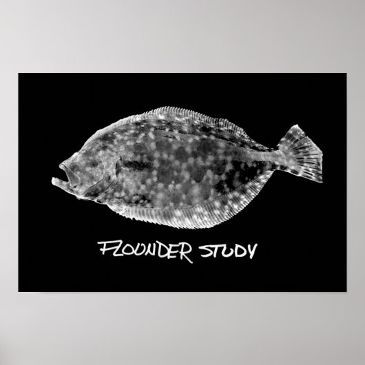 Afdrukken van Flounder Study "ZEER POPULAR" Poster (Voorkant)