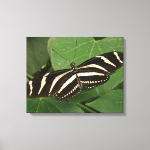 Afdrukken van langwerpige Butterfly-canvas