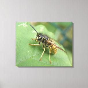 Afdrukken van Macro Canvas met overvliegen