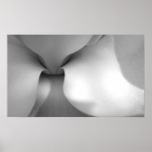 Afdrukken van Magnolia Canvas Poster (Voorkant)