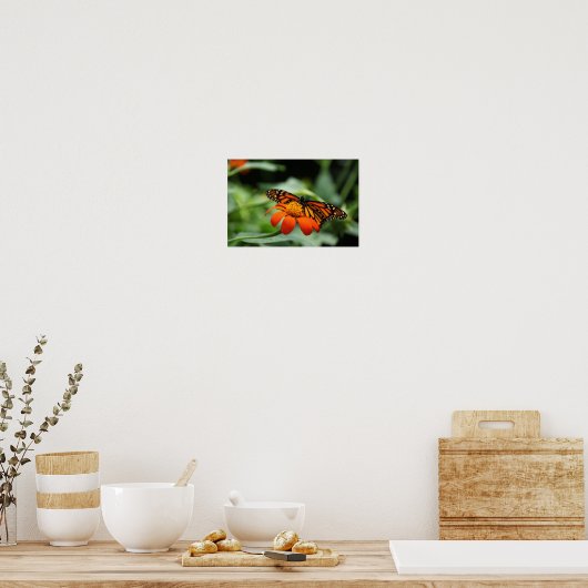Afdrukken van monoarch Butterfly Canvas Poster (Keuken)