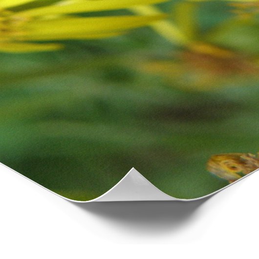 Afdrukken van overvliegen poster (Hoek)