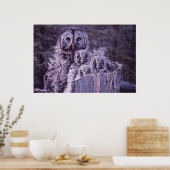 Afdrukken van "Owl Family" Poster (Keuken)