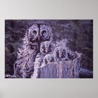 Afdrukken van "Owl Family" Poster