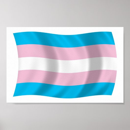 Afdrukken van Poster met driesporenpride vlag (Voorkant)